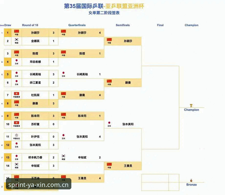 中国足协禁足名单深度解析：亚新体育用户观赛指南与行业影响分析